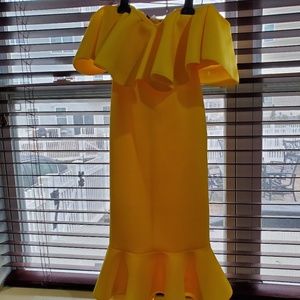 Yellow dress worm once